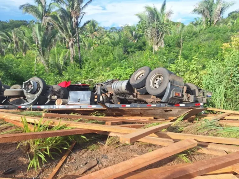 Motorista morre após caminhão sair da pista e cair em ribanceira na BR-316, em Barro Duro