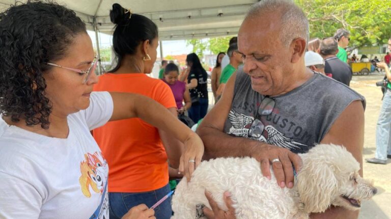 Teresina realiza vacinação contra raiva de cães e gatos na zona rural sul e sudeste neste sábado (25)