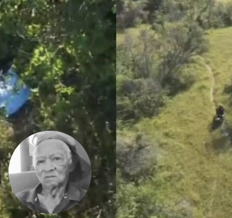 Corpo de idoso de 83 anos desaparecido é encontrado em matagal em Altos