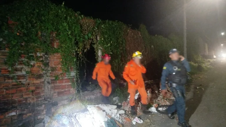 Populares confundem corpo de bezerro com cadáver humano e acionam autoridades em Teresina