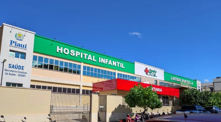 Criança de 5 anos morre com suspeita de calazar no Piauí