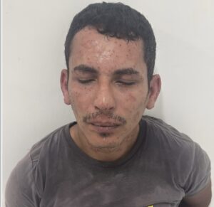 Suspeito de roubo de carro abandona veículo e é preso após ataque de abelhas em Teresina