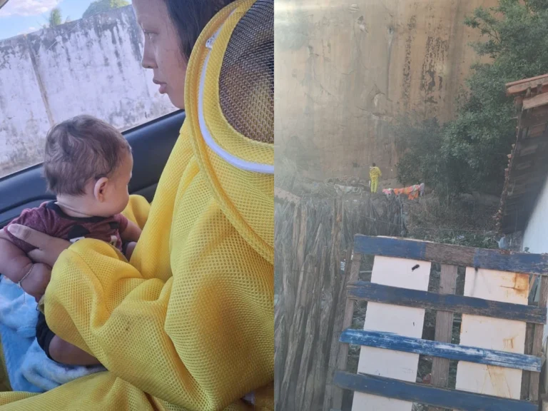 Mãe e recém-nascido são resgatados após ataque de enxame de abelhas em Oeiras
