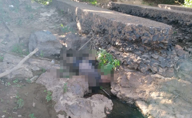 Corpo em avançado estado de decomposição é encontrado embaixo da Ponte Metálica em Teresina